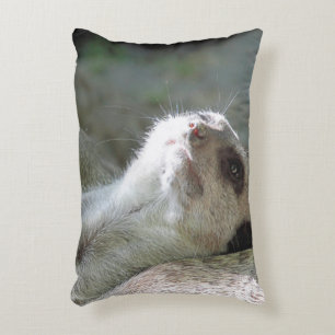 Meerkat 024 decorative cushion