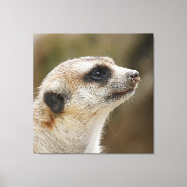 Meerkat 028 canvas print (Front)