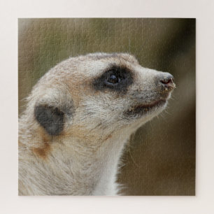 Meerkat 028 jigsaw puzzle
