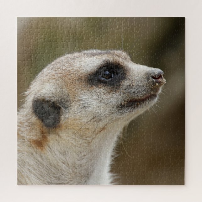 Meerkat 028 jigsaw puzzle (Vertical)