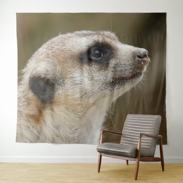 Meerkat 028 tapestry (In Situ (Horizontal))
