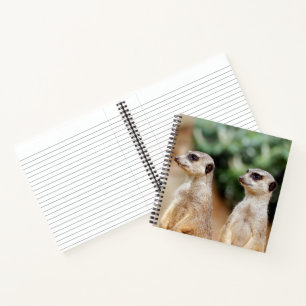 Meerkat 030 notebook