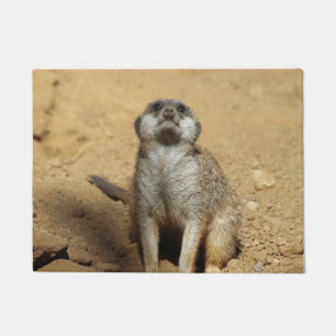 Meerkat 031 doormat
