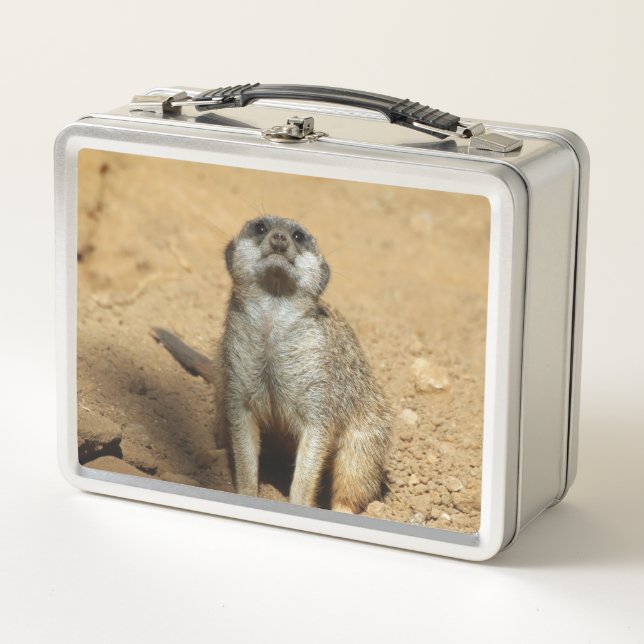 Meerkat 031 metal lunch box (Front)