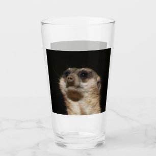 Meerkat 032 glass
