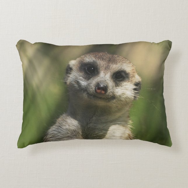 Meerkat 034 decorative cushion (Front)