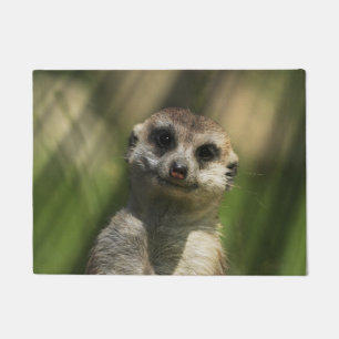 Meerkat 034 doormat