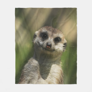 Meerkat 034 fleece blanket