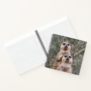 Meerkat 035 notebook