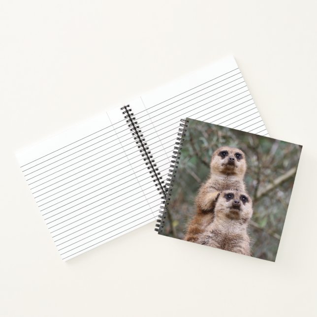 Meerkat 035 notebook (Inside)