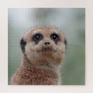 Meerkat 036 jigsaw puzzle