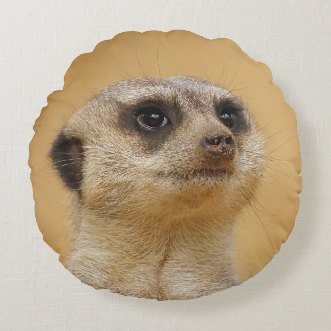 Meerkat 037 round cushion (Front)