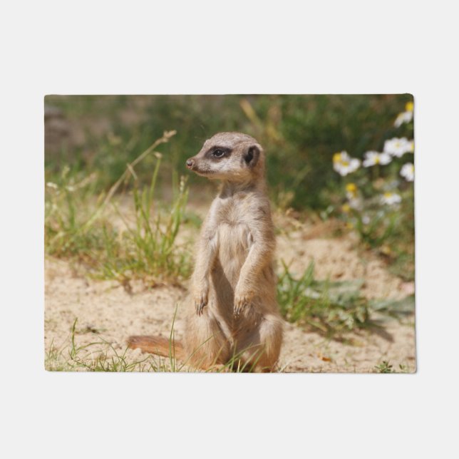 Meerkat 038 doormat (Front)