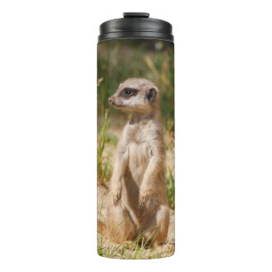 Meerkat 038 thermal tumbler