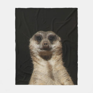 Meerkat 040 fleece blanket
