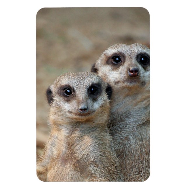 Meerkat 047 magnet (Vertical)