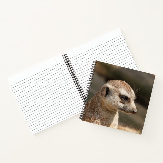 Meerkat 048 notebook (Inside)