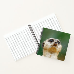 Meerkat 051 notebook