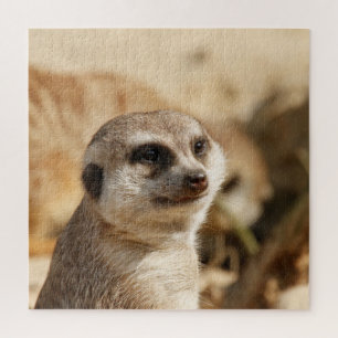 Meerkat 052 jigsaw puzzle