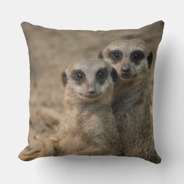 Meerkat 067 cushion (Front)