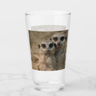 Meerkat 067 glass