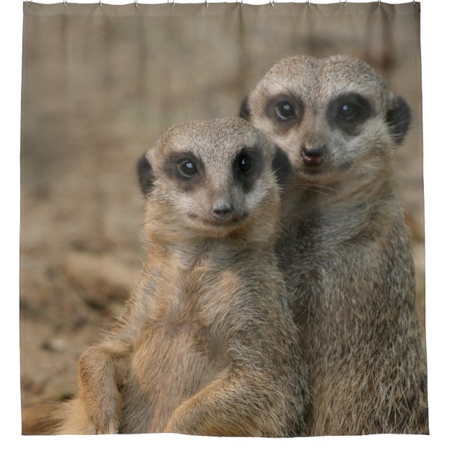 Meerkat 067 shower curtain (Front)