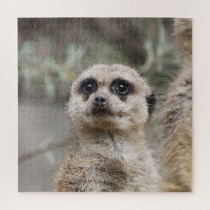 Meerkat 082 jigsaw puzzle