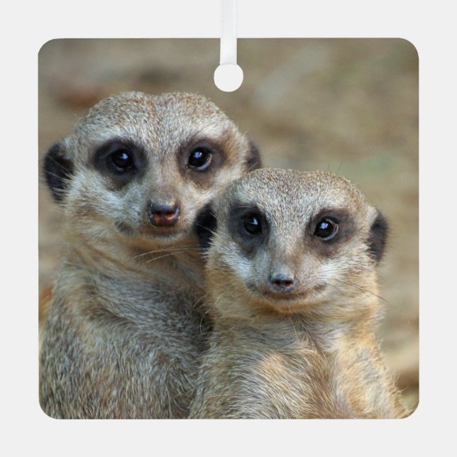 Meerkat 085 metal tree decoration (Front)