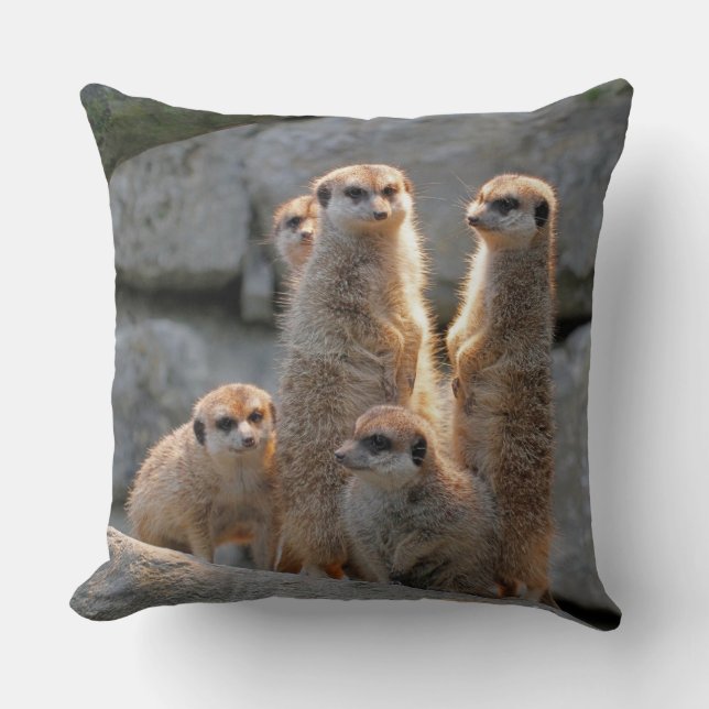 Meerkat 110 cushion (Front)