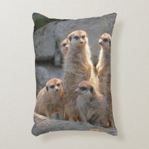 Meerkat 110 decorative cushion