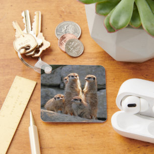 Meerkat 110 key ring