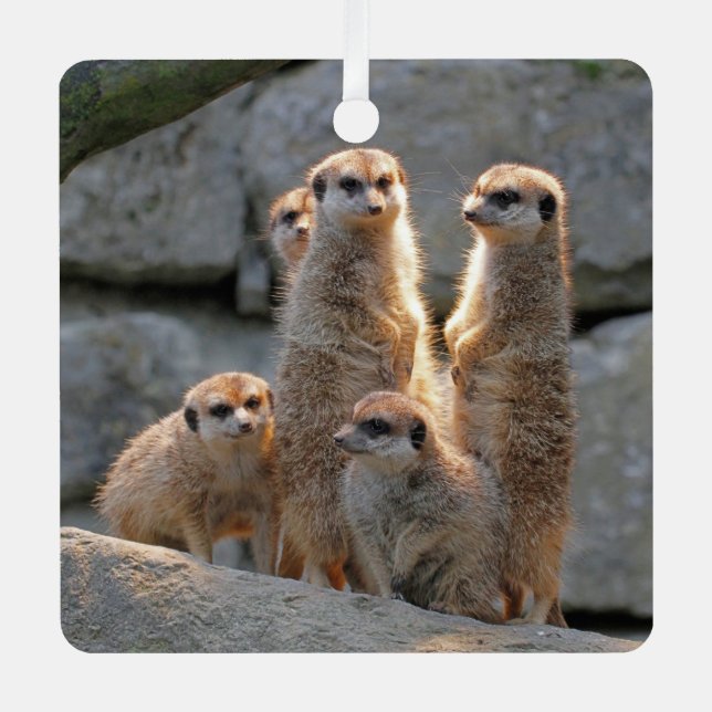 Meerkat 110 metal tree decoration (Front)