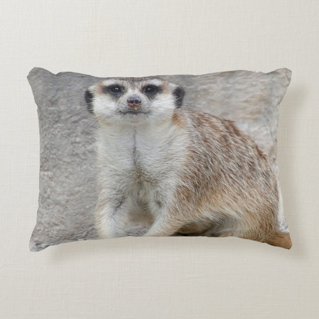 Meerkat 134 decorative cushion (Front)