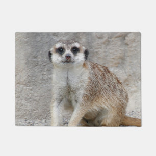 Meerkat 134 doormat
