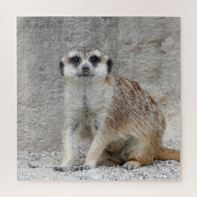 Meerkat 134 jigsaw puzzle (Vertical)