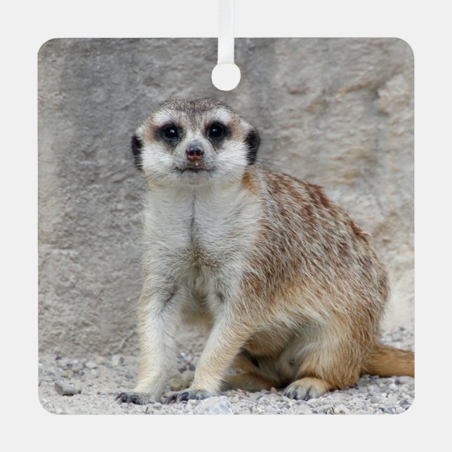 Meerkat 134 metal tree decoration (Front)