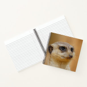 Meerkat 154 notebook