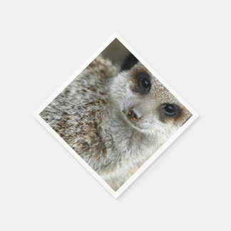 meerkat-16.jpg napkin