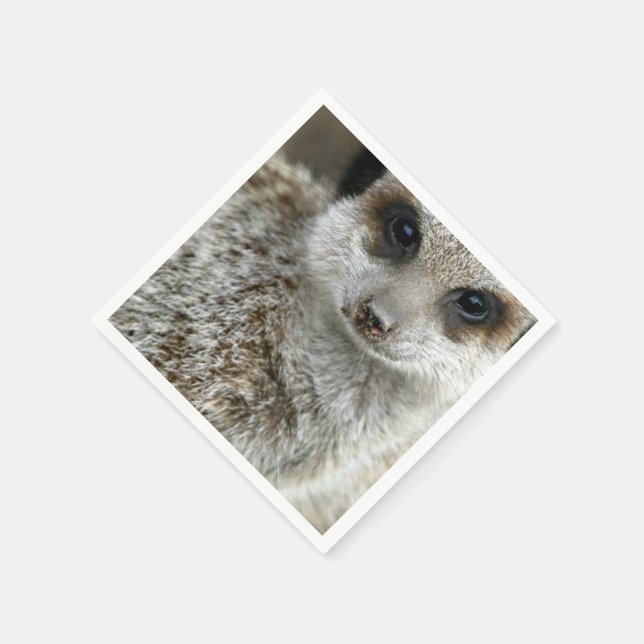 meerkat-16.jpg napkin (Corner)