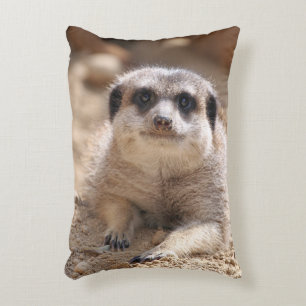 Meerkat 174 decorative cushion