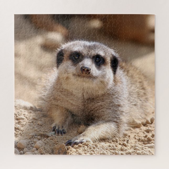 Meerkat 174 jigsaw puzzle (Vertical)