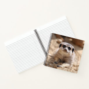 Meerkat 174 notebook