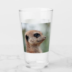Meerkat 180 glass