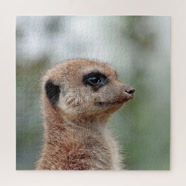 Meerkat 180 jigsaw puzzle (Vertical)