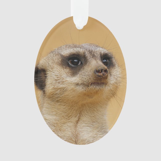 Meerkat 2014-1101 ornament (Front)