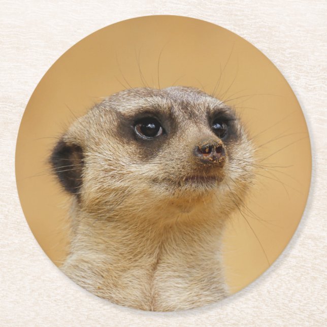 Meerkat 2014-1101 round paper coaster (Front)