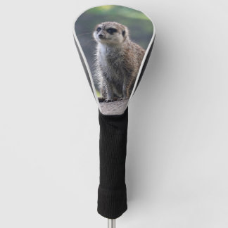 Meerkat_2019001 Golf Head Cover