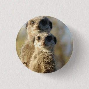 Meerkat 3 Cm Round Badge