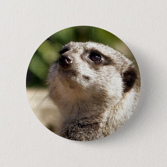 MEERKAT 6 CM ROUND BADGE (Front)