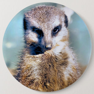 MEERKAT 6 CM ROUND BADGE